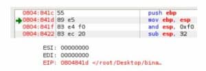 Image highlights the next executable instruction