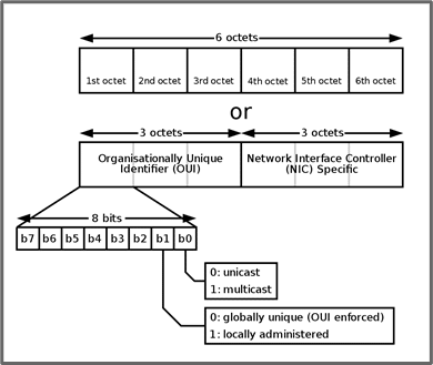 the composition of a MAC address as divided either into 6 individual octets or 2 3-octets indicating Organizationally Unique Identifier (OUI) and Network Interface Controller (NIC) Specific.