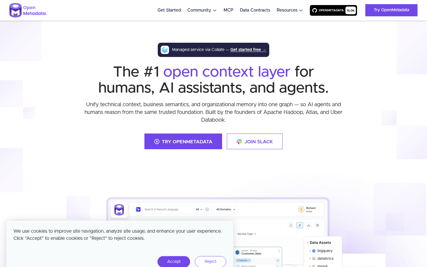OpenMetadata