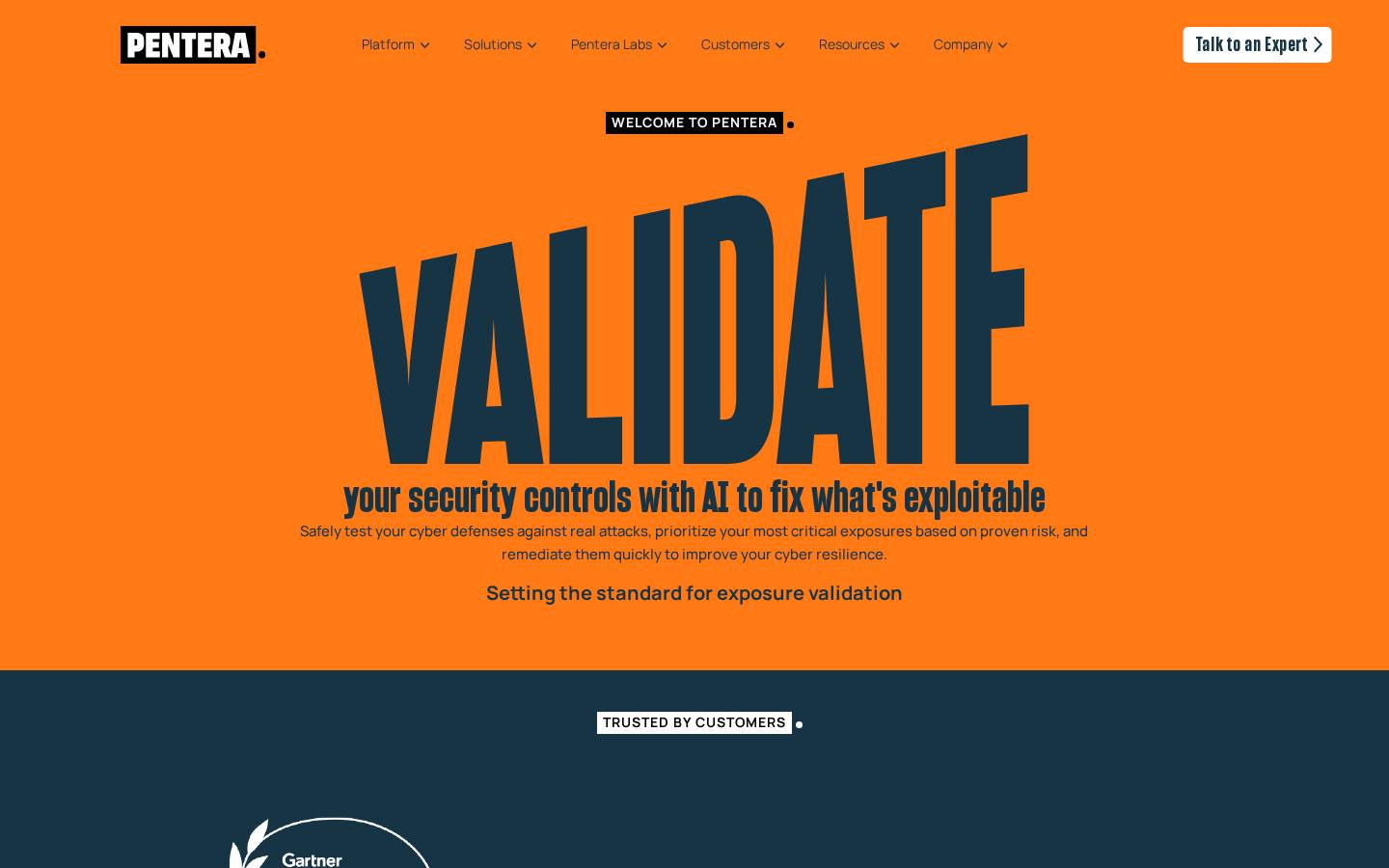 Pentera automated security validation platform page