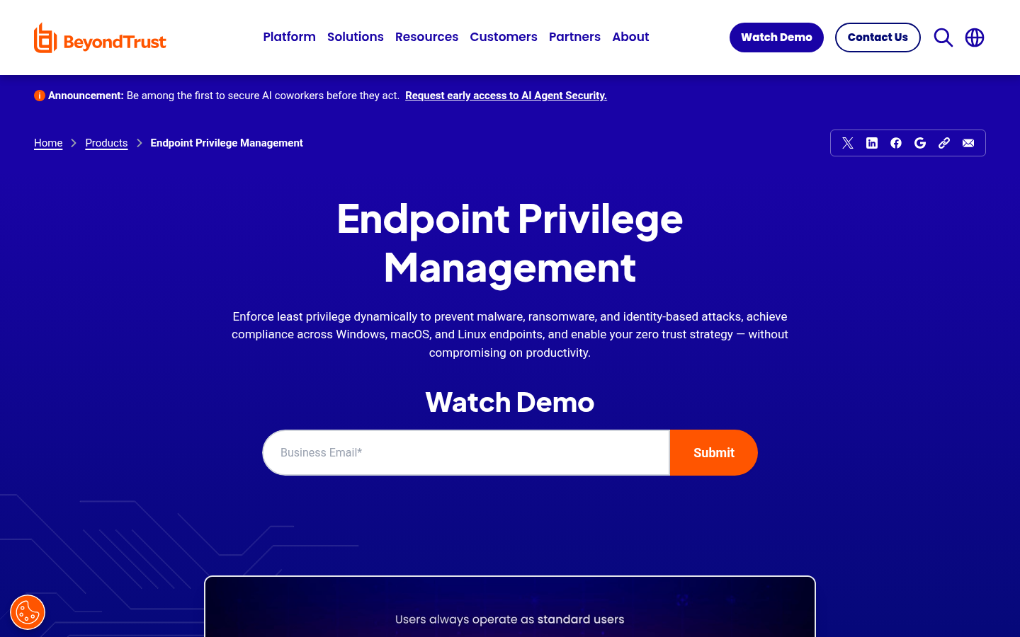 BeyondTrust Endpoint Privilege Management product marketing